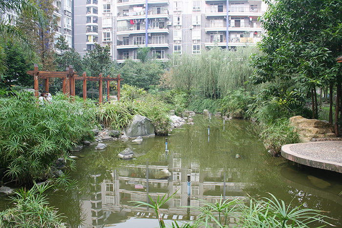 巴山夜雨環(huán)境綠化工程